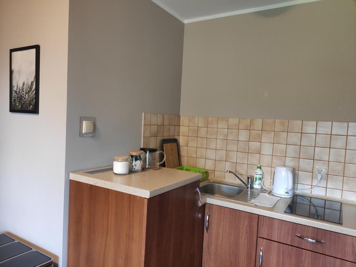 Apartamenty Madzia Wisla Exterior photo